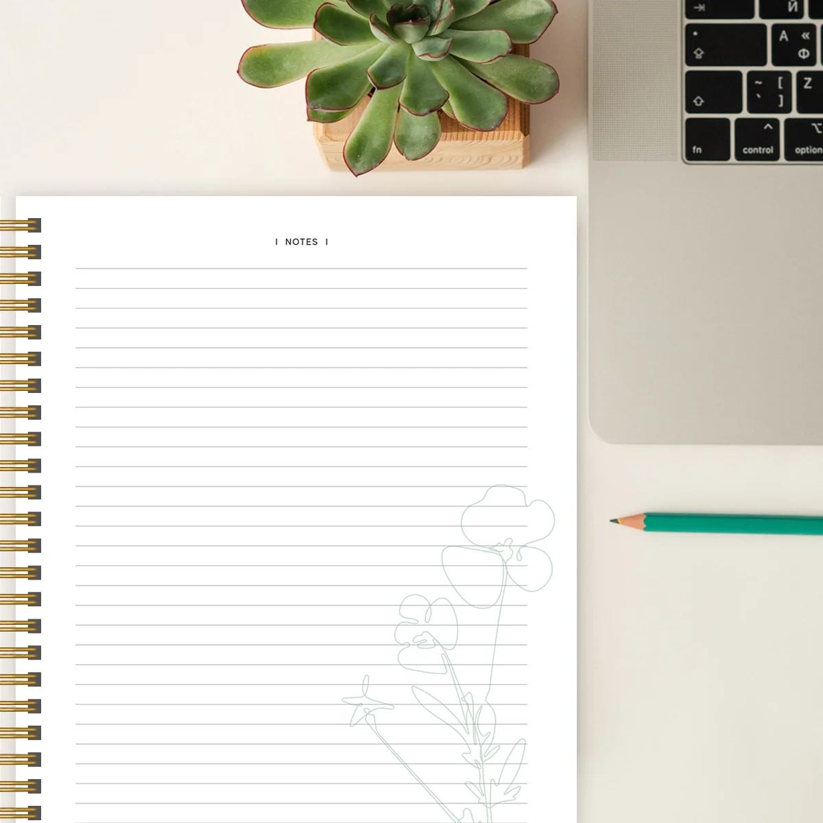 Bible In A Year Essentials (Hardcover) - Image 7