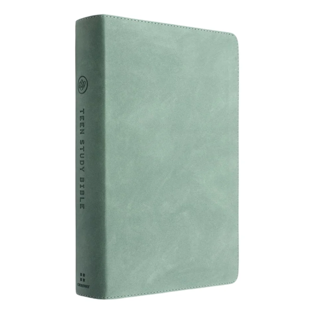 ESV Teen Study Bible, Seaside Blue Leather - Image 4