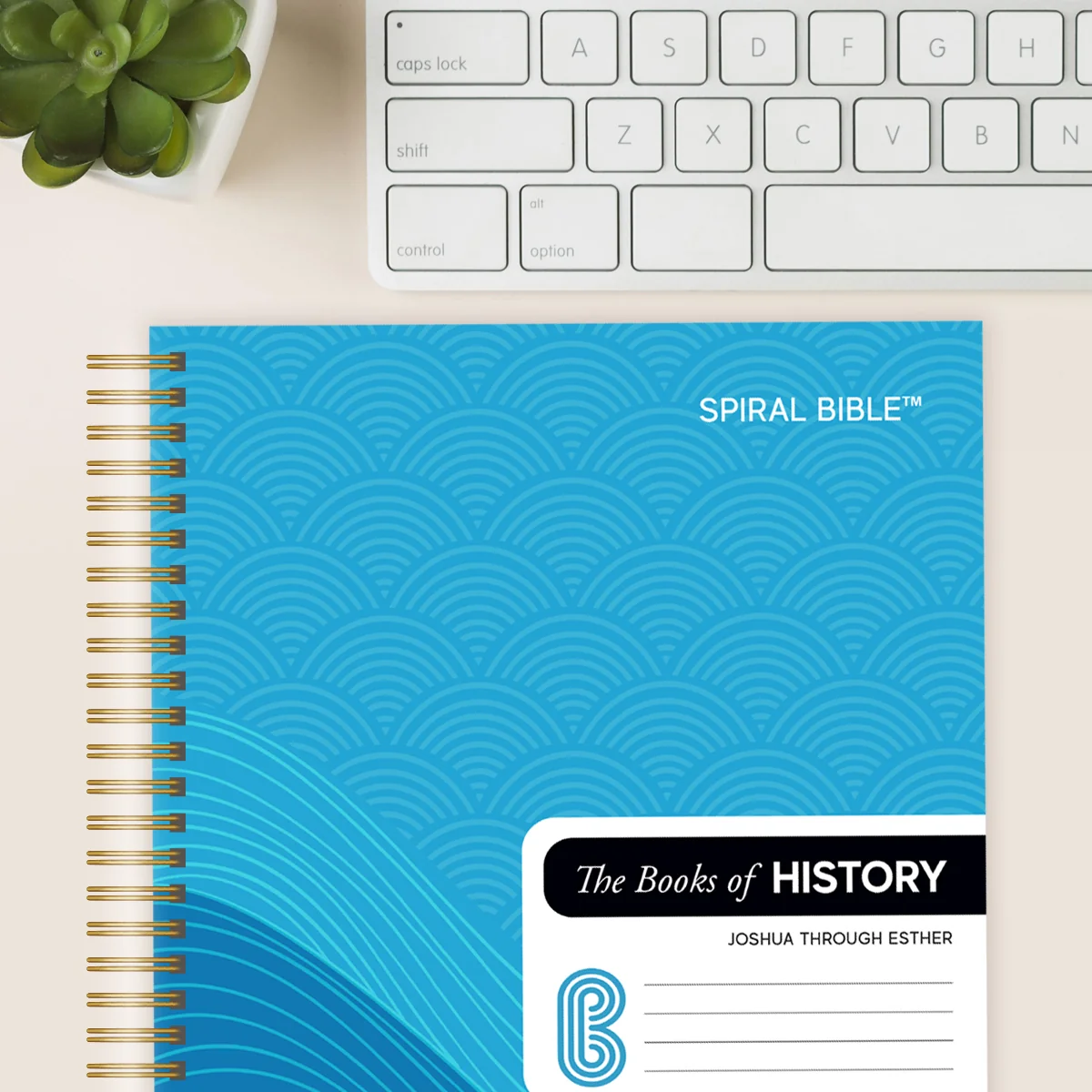 Spiral Bible™ - KJV - Joshua - Esther (Hardcover) - Image 4